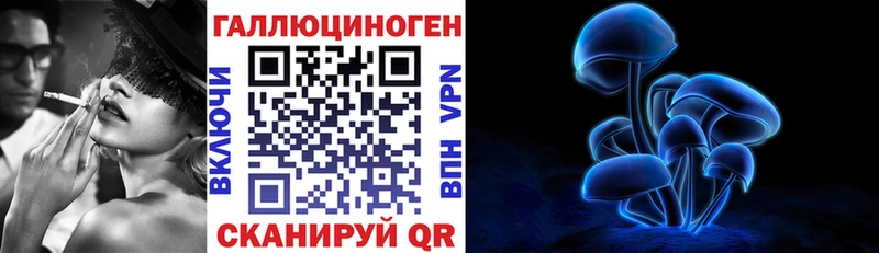МЕГА зеркало  Элиста  Псилоцибиновые грибы GOLDEN TEACHER  сколько стоит 