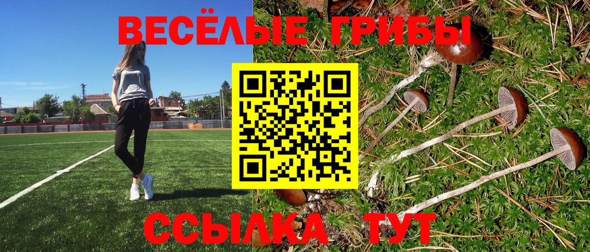 Элиста  Псилоцибиновые грибы мицелий  Вход с VPN 